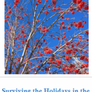 Presentation: Surviving the Holidays